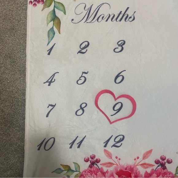3/$12 Monthly Milestone Blanket Floral Baby Girl Pattern - Picture 5 of 5